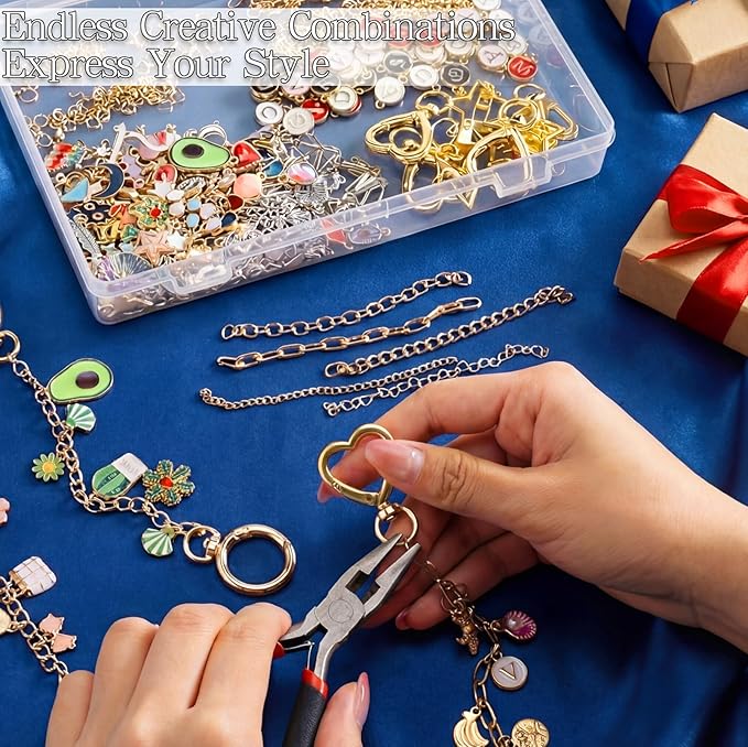 DRHWEFSQ 325Pcs Lip Gloss Keychain Making Kit, DIY Jewelry Supplies with 118 Charms, 25 Extender Chains, 30 Clips, 150 Jump Rings & Plier for Custom Keychains, Bags, Handmade Gifts