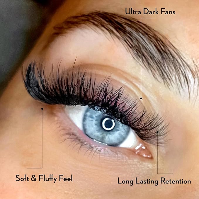 One V Salon Pro 6D Ultra-Speed Promade Fans, 1000 Premade Volume Lash Fans | C Curl | 0.07 | 8–14 mm Mixed Lengths | Thin Base, Quick Application Eyelash Extensions(Ultra 6D-0.07-C Curl)