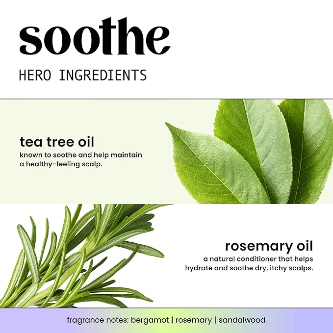 HASK TEA TREE Revitalizing Deep Conditioner Treatments for all hair types, color safe, gluten free, sulfate free, paraben free - Pack of 6