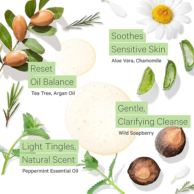 Tree To Tub Peppermint Shampoo for Oily Hair & Sensitive Scalp - Gentle Clarifying Shampoo for Build Up, Sulfate Free Anti Residue Hair Shampoo for Women & Men w/Organic Argan Oil, Natural Aloe Vera