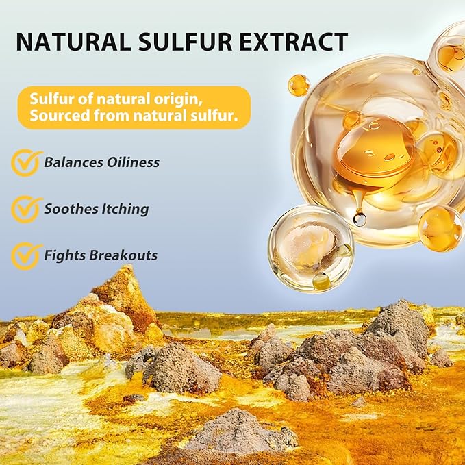 Bee & Flower Sulfur Soap Liquid Shampoo & Body Wash - Daily Head to Toe Skin Care Product for Men and Women - 10.8 Fl Oz - Pack of 1