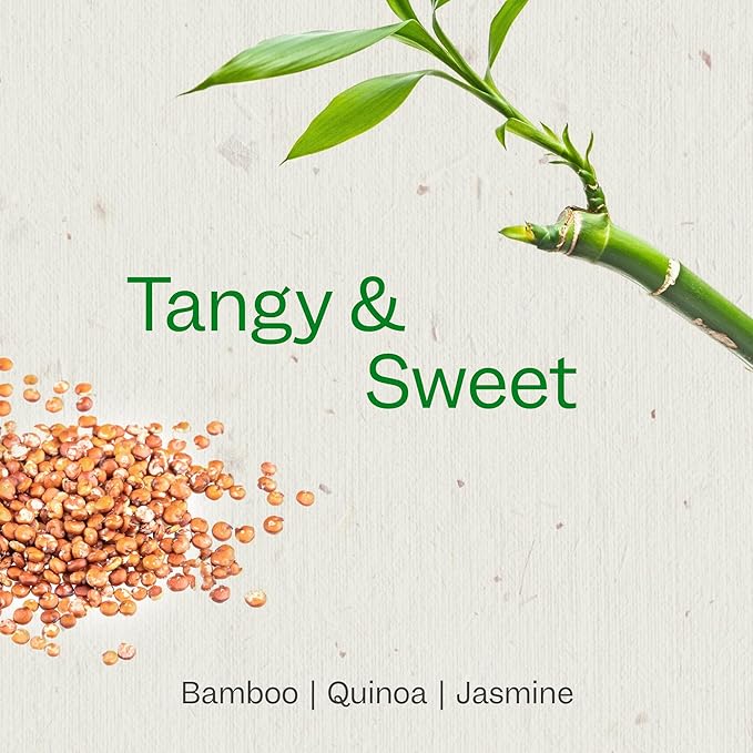Renpure Bamboo & Quinoa Conditioner, Plant-Based – Restores, Hydrates & Strengthens For Healthier Hair – For Weak, Dull & Damaged Hair - Bamboo Extract & Quinoa Protein – 24 Fl Oz