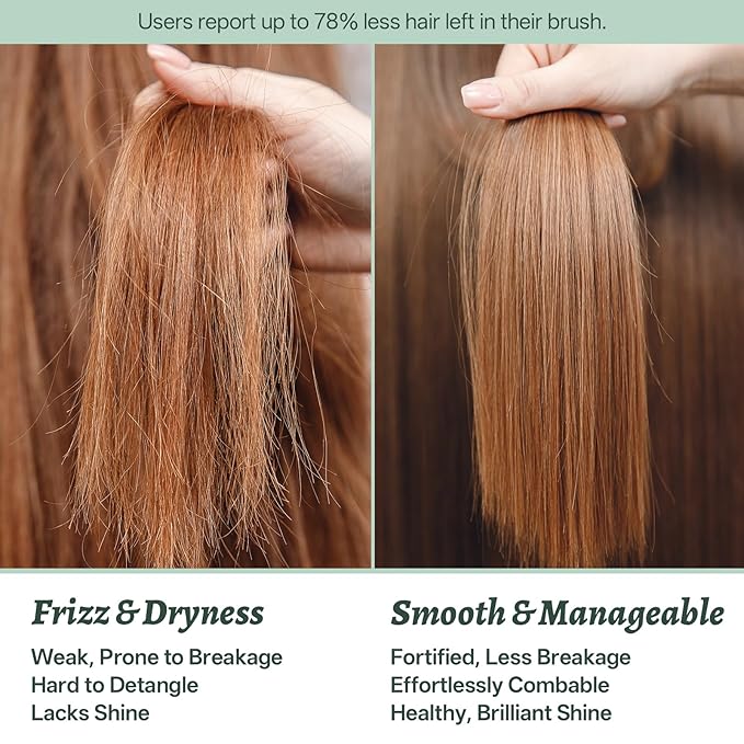Luseta Rosemary Shampoo and Conditioner Set & Rosemary Mint Travel Shampoo and Conditioner for Dry Damaged Fine Hair Volumizing Thickening, Natural Anti Frizz for Women Men (2x16.9 FL Oz+2x1.01 FL Oz)