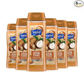 Suave Moisturizing Body Wash, Cocoa Butter and Shea with Vitamin E Extract, No Parabens, No Phtahaltes, 18 Oz Pack of 6