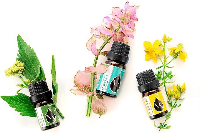 Essences Bulgaria Organic St. John's Wort Essential Oil 1/3 Fl Oz | 10ml | Hypericum perforatum | 100% Pure and Natural | Undiluted | Therapeutic Grade | Family Owned Farm | Steam-Distilled | Non-GMO