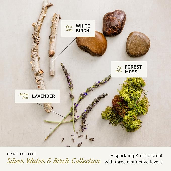 Cremo Body Wash for Men, Rich-Lathering Silver Water & Birch, 16 Fl Oz (Pack of 12)