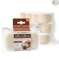 Spongeables Body Wash in a 20+ Wash Sponge, Coconut Colada, 3 Count