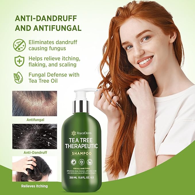 Roycederm Tea Tree Shampoo with Scalp Massager Brush - Clarifying Scalp Care Set for Dry, Itchy & Flaky Scalp, Dandruff Support, Deep Cleanse & Refreshing Scalp Routine