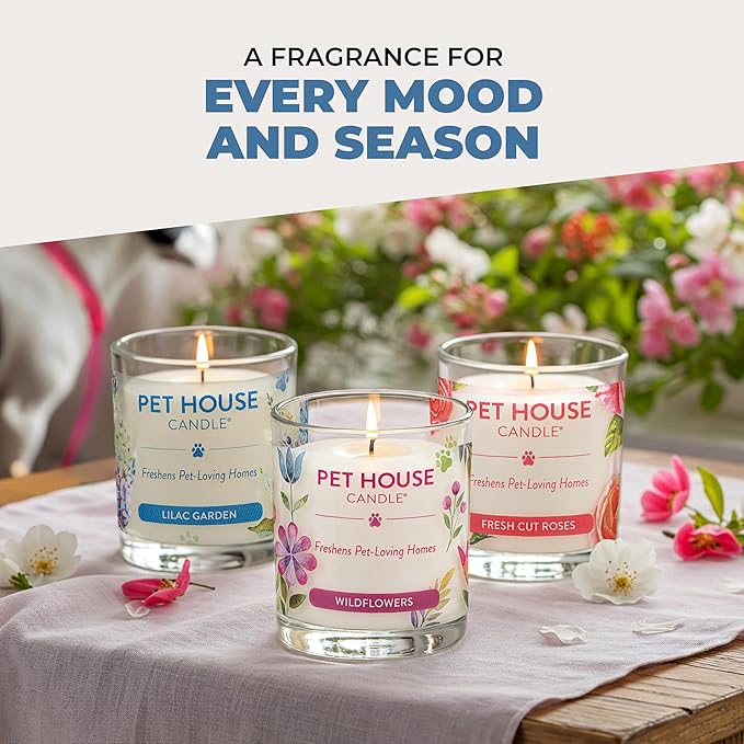 One Fur All Pet House Scented Candles, Long Lasting, Clean Burning, Pet Friendly Candles Mandarin Sage, 2 Pack