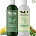 Shampoo and Conditioner for Oily Hair and Scalp - Sulfate and Paraben Free Shampoo and Conditioner Set for Oily Hair Care with Deep Cleansing Tea Tree Oil - Color Safe & Cruelty Free (8 Fl Oz)