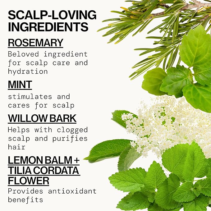 Pacifica Clarifying Shampoo – Rosemary Purify Invigorating Shampoo w/Soothing Mint for Detoxing Hair & Scalp Build-Up,Sulfate & Silicone Free - Vegan-& Cruelty-Free Dermatologist Tested,(Pack of 2)