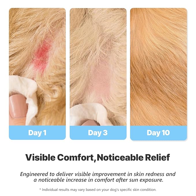 Dog Post-Sun Recovery Serum - Soothes Hot Spots, Redness & Sun Discomfort | Repairs Moisture Barrier with Ceramides | For Ears, Belly & Paws | Fast-Absorbing Formula (1.85 fl oz)