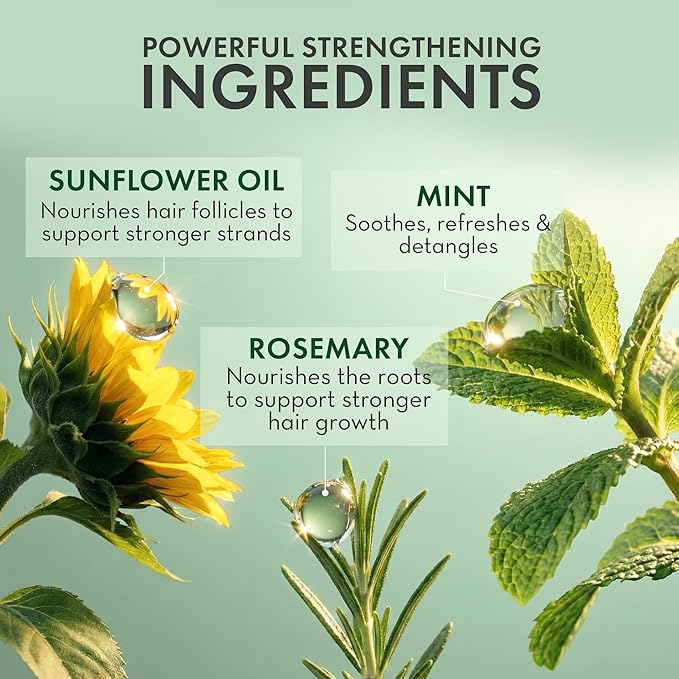 Leave In Conditioner Spray – Rosemary & Mint Scalp Treatment (2 Pack) – Anti-Dandruff, Dry & Itchy Scalp Relief, Hydrating Formula for Psoriasis Care – Detangles & Nourishes Hair