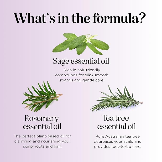 Sage and Rosemary Shampoo Sulfate Free - Sage Oil Clarifying Shampoo for Build Up and Scalp Moisturizer - Oily Hair Shampoo for Greasy Hair and Dry Scalp Treatment with Essential Oils for Hair