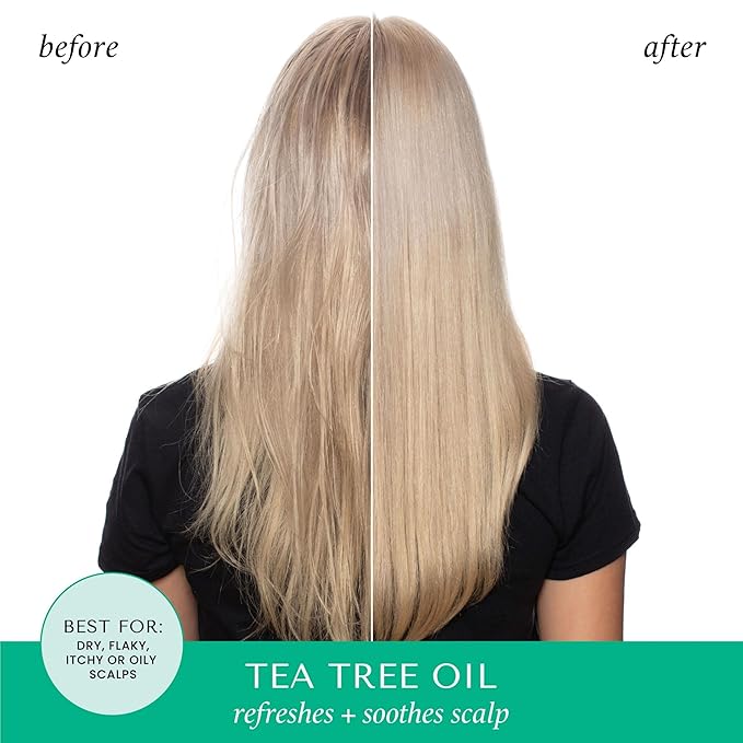 HASK Tea Tree & Rosemary Oil Scalp Care Shampoo - 12 fl oz