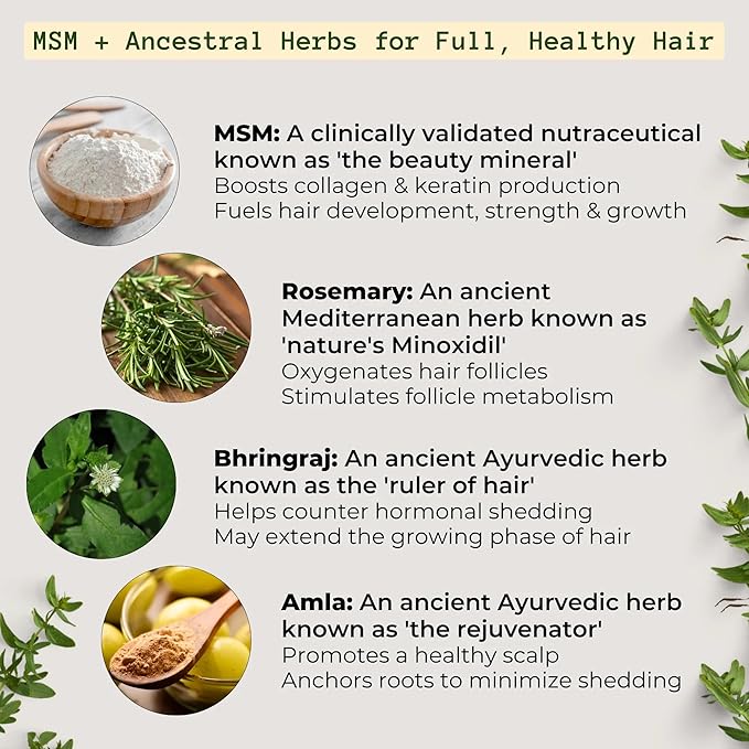 Qhemet Biologics MSM + Rosemary Scalp Nutrients Balm | Food for Hair Growth | MSM, Rosemary, Bhringraj, Castor Oil & Coconut Oil | For Dry Scalp, Thinning & Slow Growth | Vegan (4 oz)