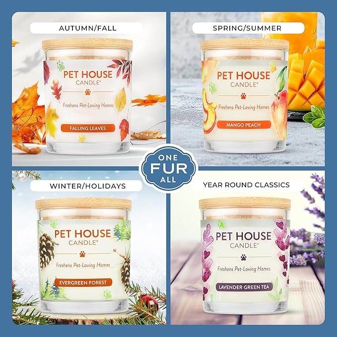 One Fur All Pet House Scented Candles, Long Lasting, Clean Burning, Pet Friendly Candles Mandarin Sage, 2 Pack