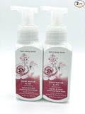 Bath and Body Works Gentle & Clean Foaming Hand Soap, 8.75 fl. oz. (Rose Water & Ivy, 2-Pack)