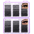 WENDY LASHES Clusters 100D+150D Eyelash Clusters 420PCS 9-16mm D Curl Natural Lashes Fluffy Wispy False Eyelashes DIY Cluster Eyelash Extensions