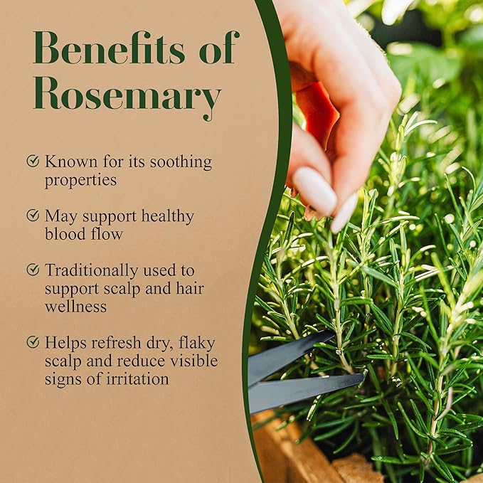 Lia Organics Rosemary Hair Growth Scalp Spray