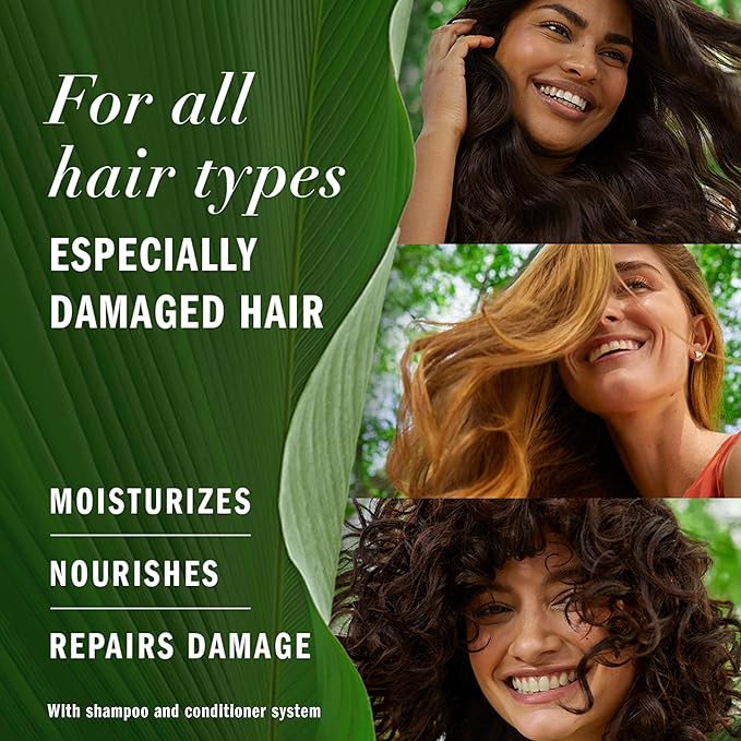 Herbal Essences Argan Oil Paraben Free Conditioner, Hair Repair, 20.2 fl oz, with Certified Camellia Oil and Aloe Vera, For All Hair Types, Especially Damaged Hair