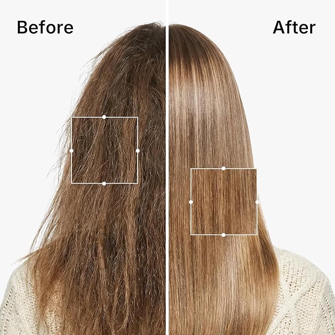 Karseell Argan Oil Shampoo Extract Moisturizing Deep Repair Smooth Shampoo for Dry and Damaged Hair 16.9Oz 500ml