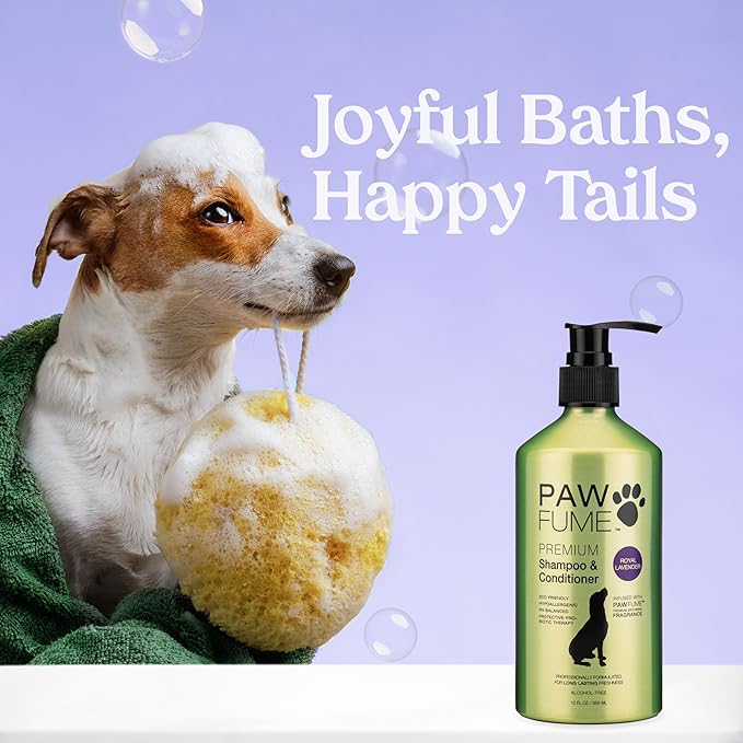 PAWFUME Dog Shedding Shampoo and Conditioner, Royal Lavender, 4-Pack – Nourish & Detangle for Silky Soft Coat – Probiotic, Deep-Cleaning, pH-Balanced – Salon-Quality Shedding Shampoo for Dogs