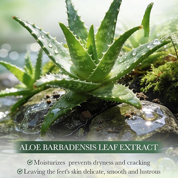 Moisturizing Aloe Vera Foot Mask with Aloe Vera and Hyaluronic Acid, Hydrating Masks for Dry Cracked Feet, Dry Skin Moisturizer Exfoliating Mask for Soft and Smooth Feet - Men Women - 3 Pack
