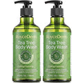 Roycederm Antifungal Body Wash & Soap with Tea Tree Oil - 2 Pack Tinea Versicolor Body Wash for Back Acne, Folliculitis, For Jock Itch, Athletes Foot, Body Odor, Ringworm - 2 Pack