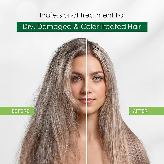 Herbishh Argan Hair Mask (250 ml)-Deep Conditioning & Hydration For Healthier Looking Hair for very Dry, Weak, Stressed Out Hair, No Sulphates, No Parabens (Pack of 2)