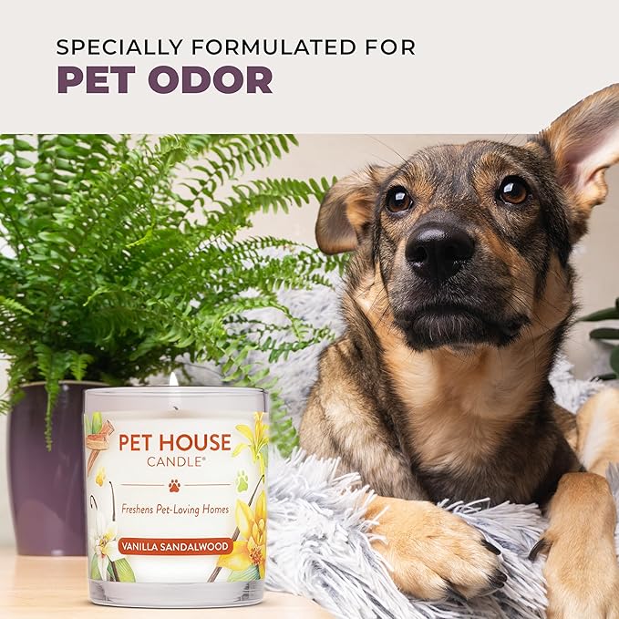 Pet House Lavender Candle Clean Burning, Long Lasting Pet Odor Candle for Home - Lavender Green Tea