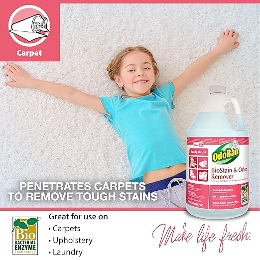 OdoBan 3-in-1 Carpet Cleaner Concentrate (1 Gallon) and Ready-to-Use Biostain and Odor Remover (1 Gallon)