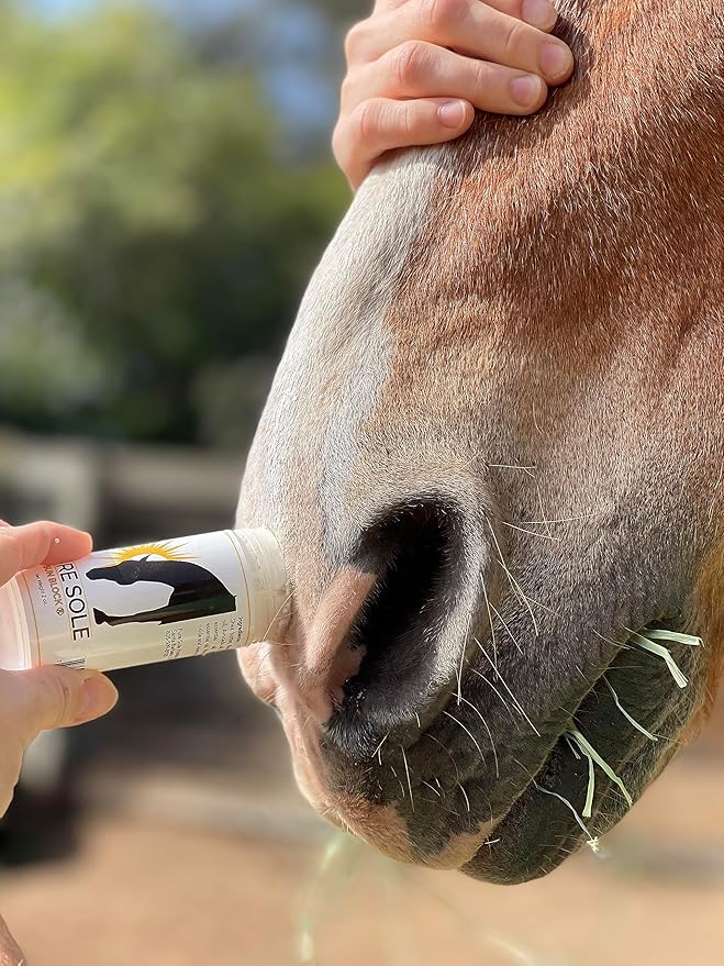 Sunscreen for Horses – Pure Sole Sun Block Cream | Protects Sensitive Pink Skin from Sun, Windburn & Snow Glare | Natural Non-Nano Zinc Oxide & Moisturizing Ingredients | Year-Round Use | 2 oz Stick