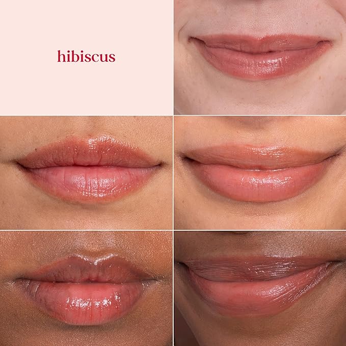 Burt's Bees Lip Tint Balm, Mothers Day Gifts, with Long Lasting 2 in 1 Duo Tinted Balm Formula, Color Infused with Deeply Hydrating Shea Butter for a Natural Buildable Finish, Soft Hibiscus (2-Pack)